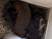 image0