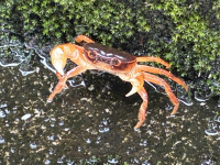 image0 (1)